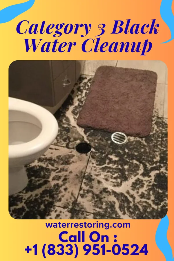 Category 3 Black Water Cleanup in Trimble, OH