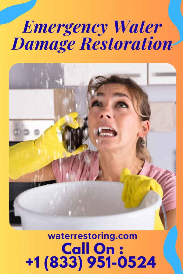 Emergency Water Damage Restoration in Trimble, OH