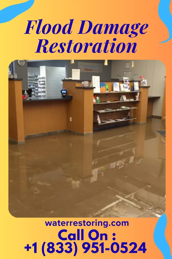 Flood Damage Restoration in Trimble, OH