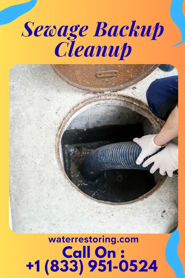 Sewage Backup Cleanup in Trimble, OH